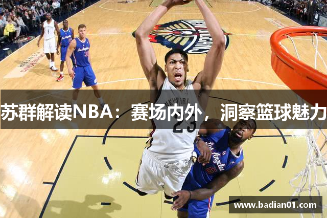 苏群解读NBA：赛场内外，洞察篮球魅力